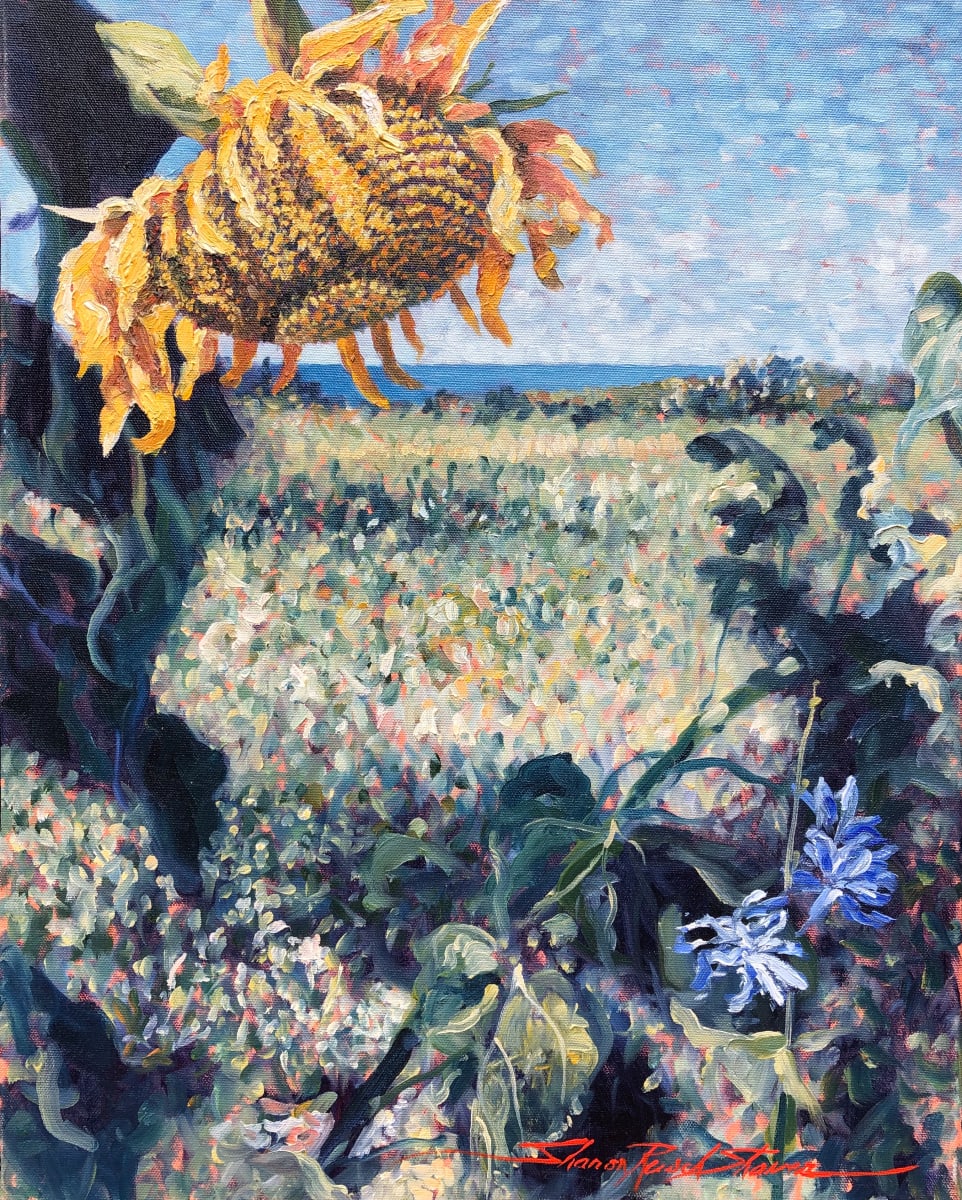 Sunflower Day by Sharon Rusch Shaver 
