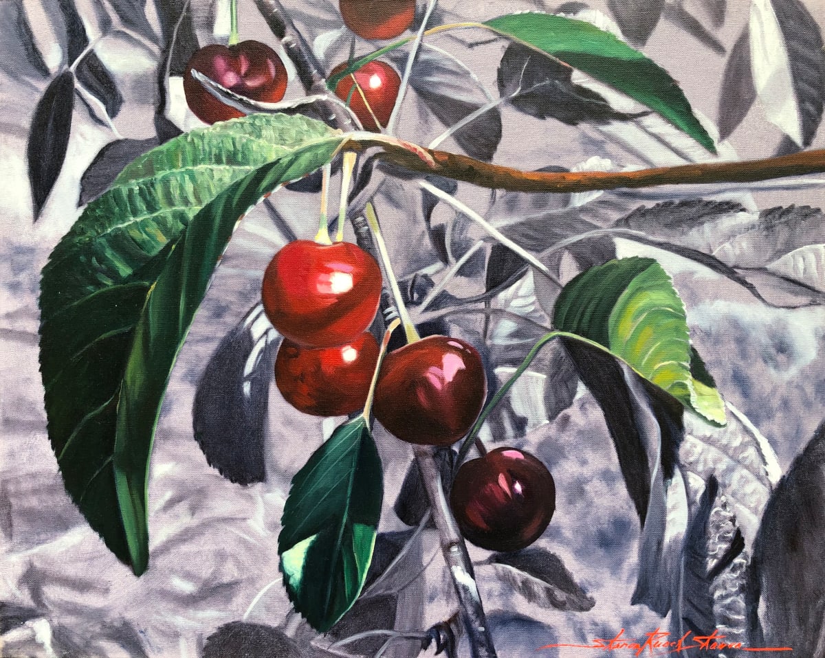 Cherries by Sharon Rusch Shaver 