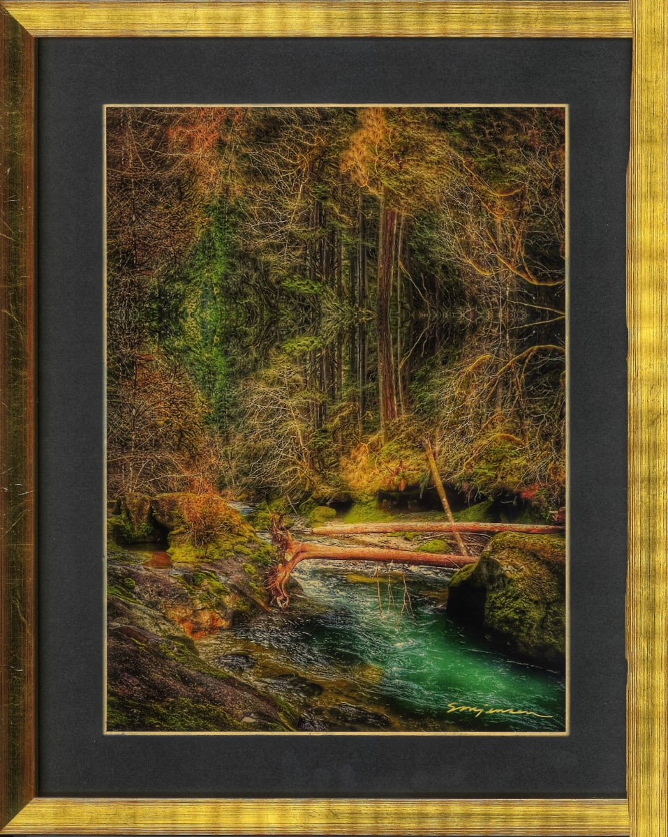 Fall Creek: A Green Visit by Sandy Brown Jensen, I Dream in Gold  Image: Fall Creek: A Green Visit