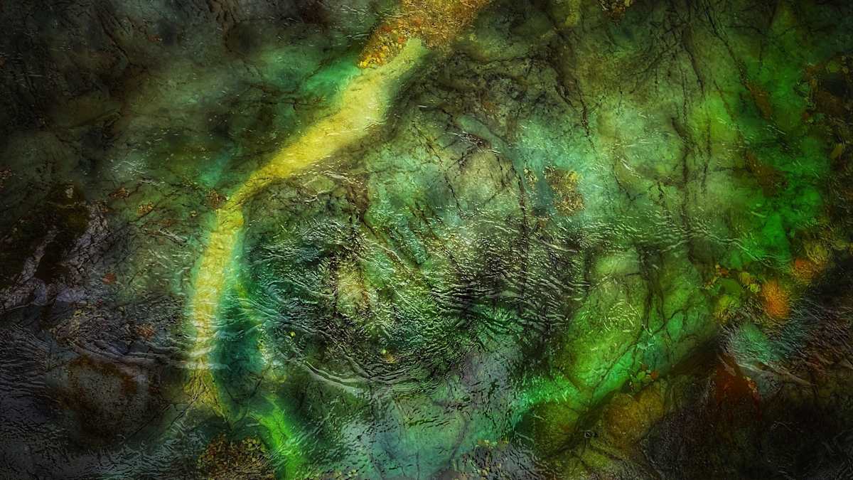 The Greeny Green Depths of the Well of World by Sandy Brown Jensen, Image 2.