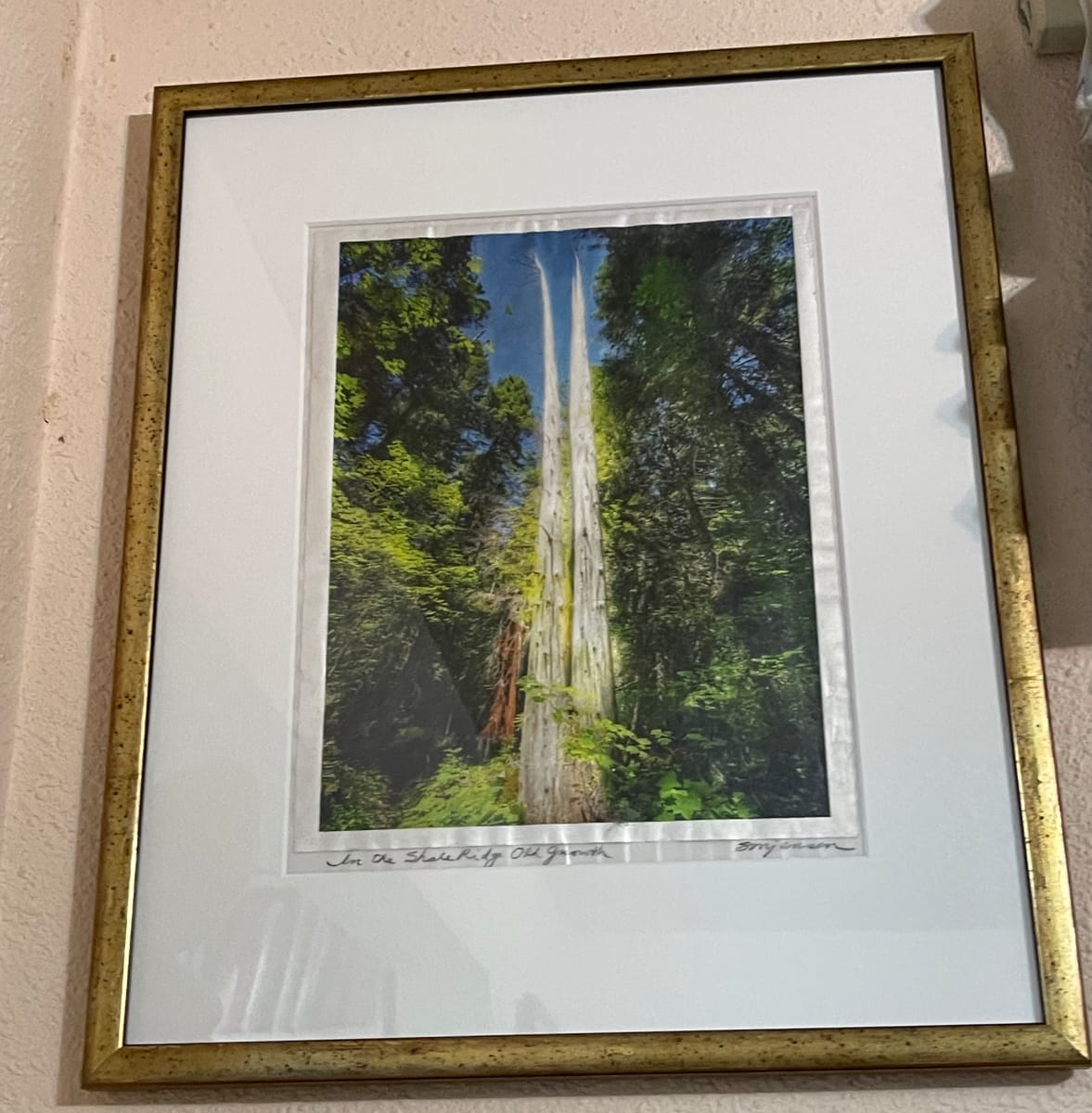 Joined Spirits of Shale Ridge by Sandy Brown Jensen, Image 1.