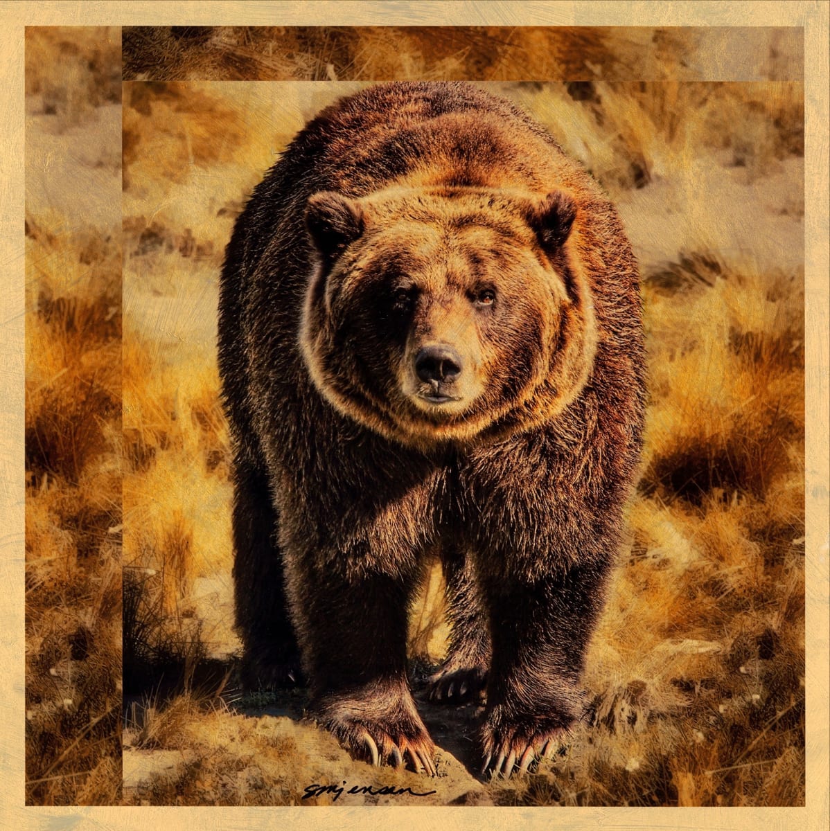 Golden Grizzly by Sandy Brown Jensen, I Dream in Gold  Image: Golden Grizzly