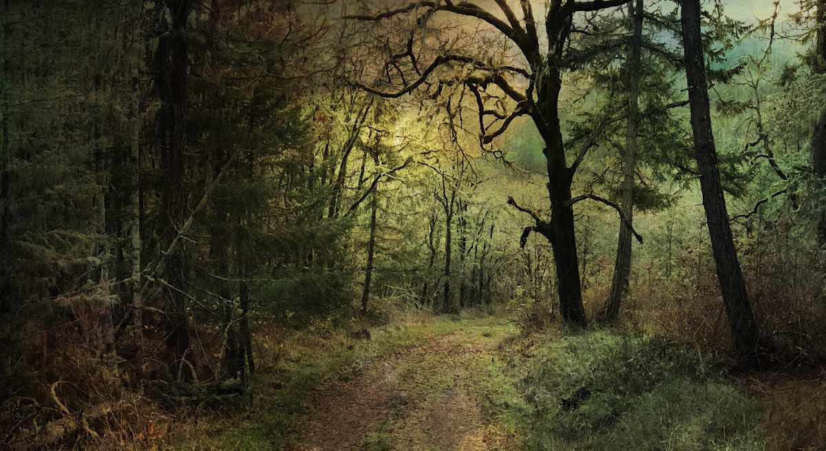 Tender Passage by Sandy Brown Jensen, Image 1.