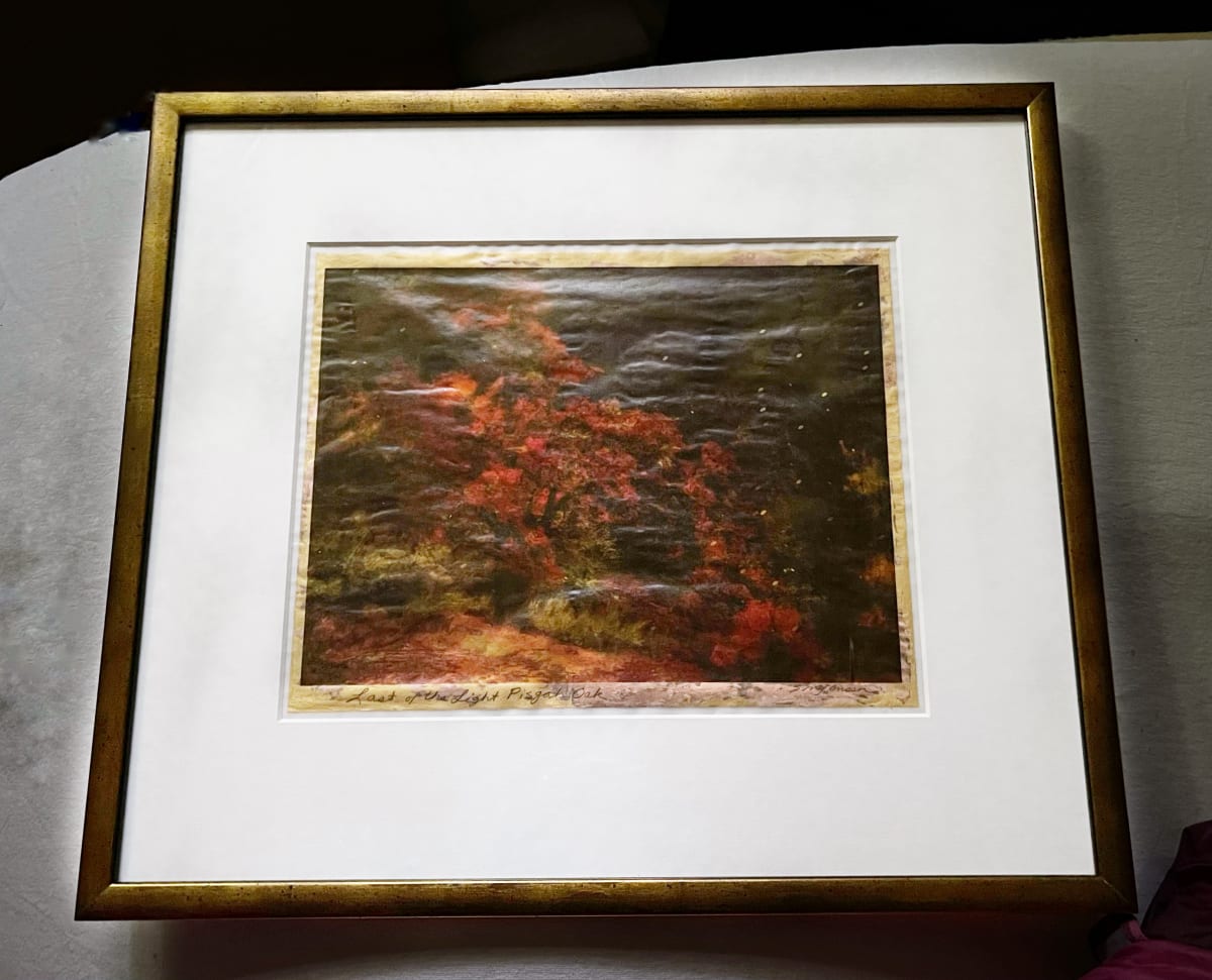 Last of the Light Pisgah Oak by Sandy Brown Jensen, Image 1.