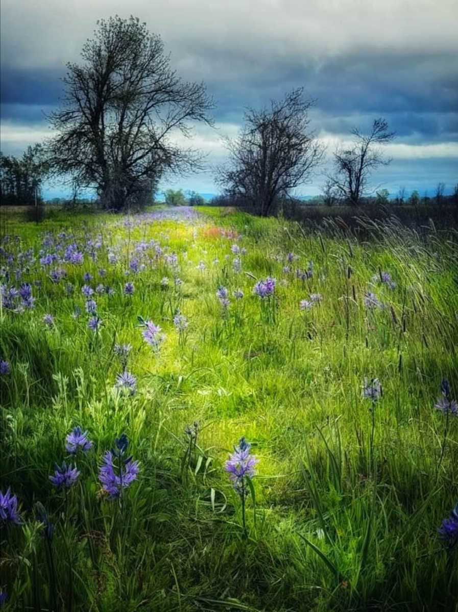 That Mystic Road 3066 by Sandy Brown Jensen  Image: That Mystic Road