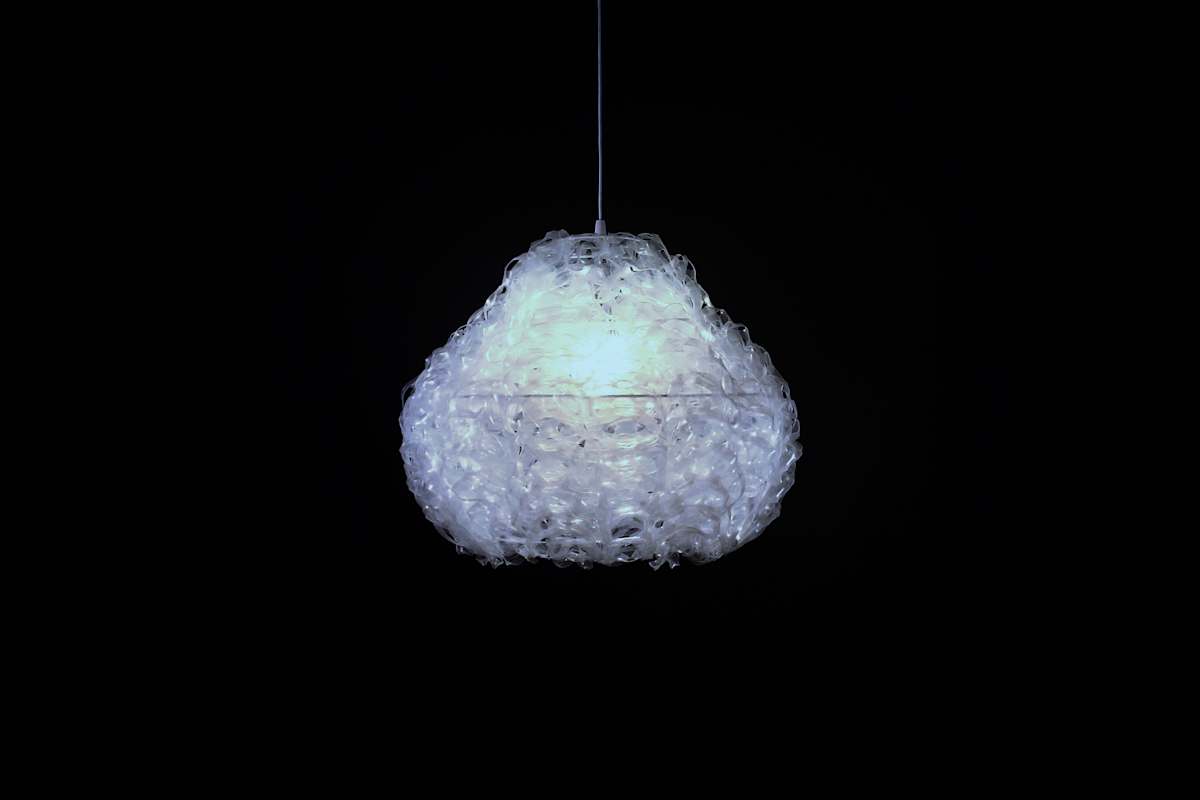 Allium 189 by Bao-Khang Luu 