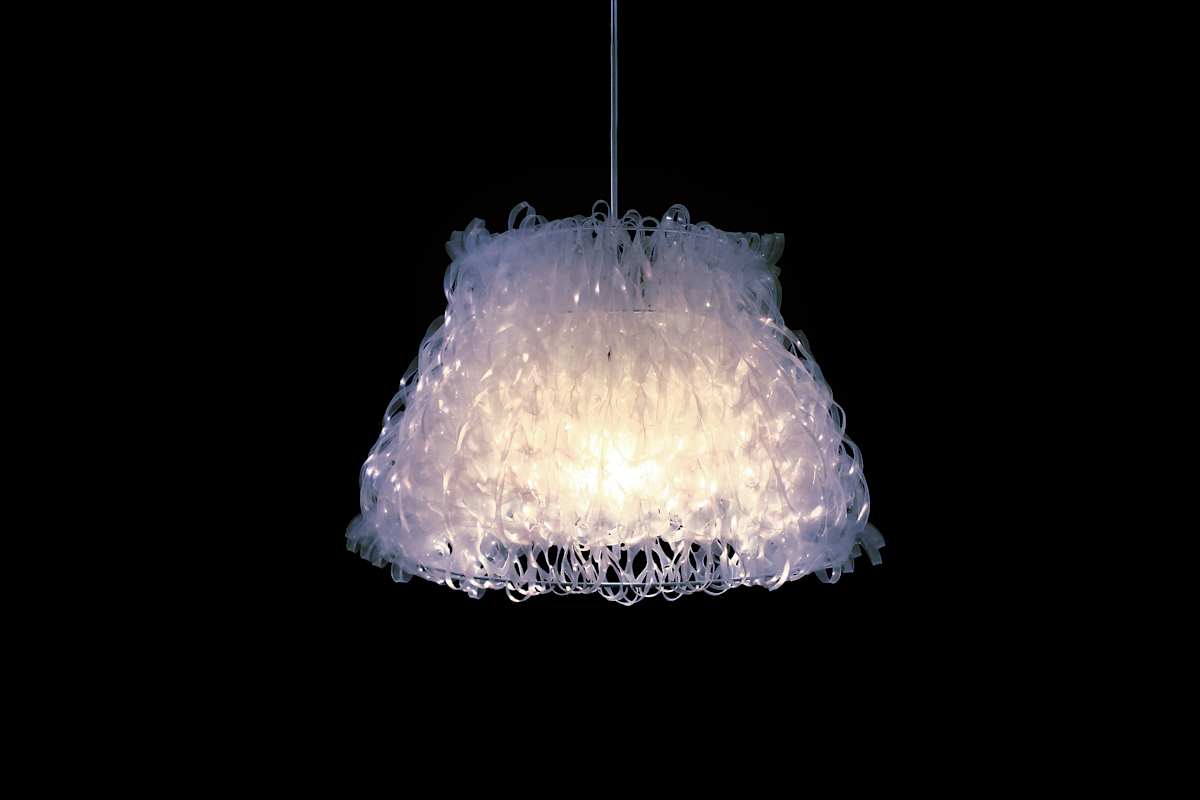 Nelumbo 252 by Bao-Khang Luu 