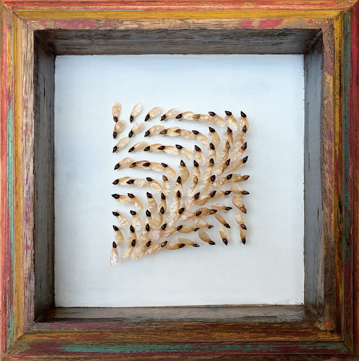 Une Reconfiguration 8, Image 1.