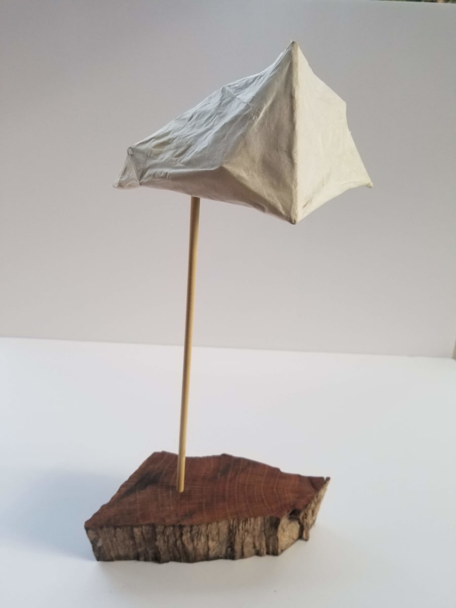 Defiance by Lisa Horlander 