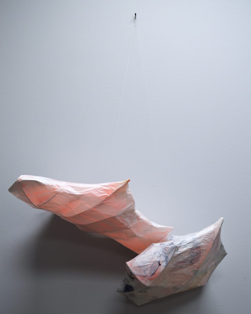 Shared Space by Lisa Horlander, Image 1.