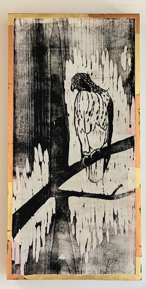 Perch Watch by Janet E Fagan 