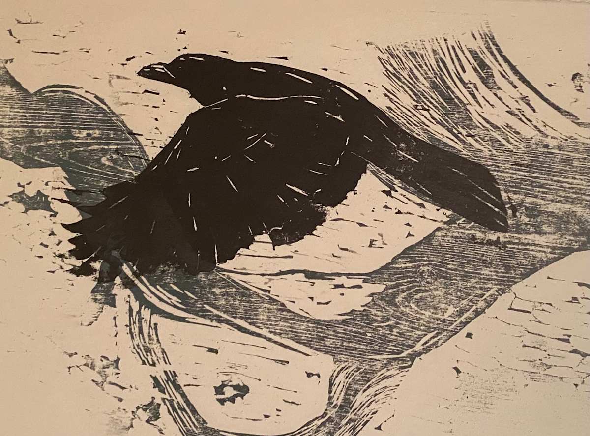 Flyover by Janet E Fagan 