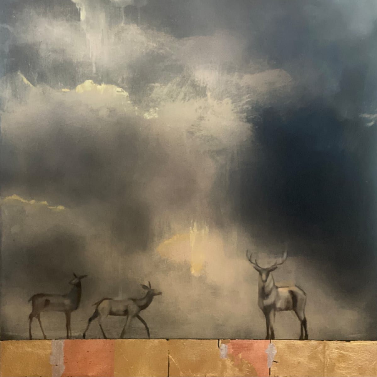 Home Sky 2, Image 1.
