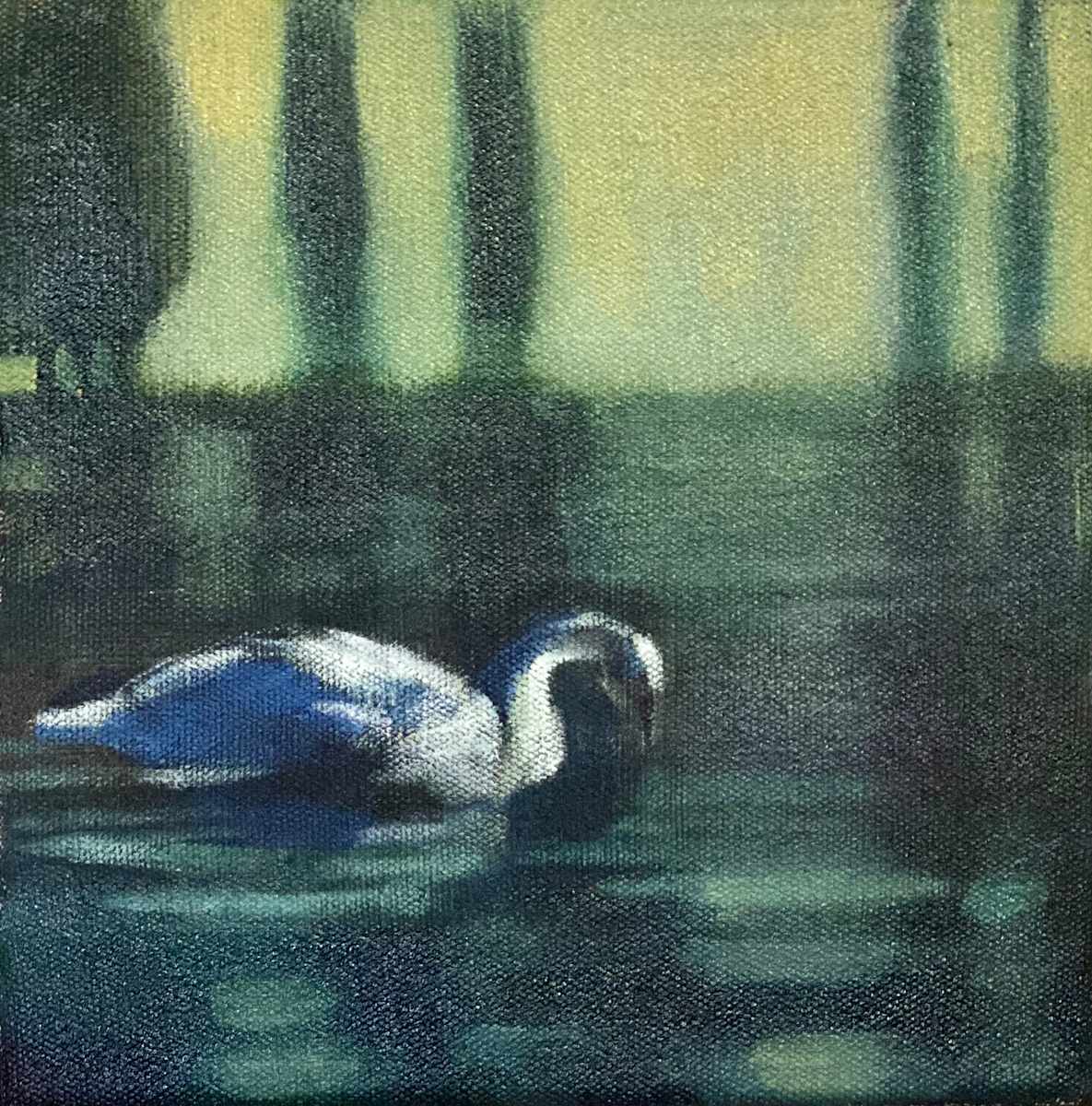 Swan Haven (glide) by Janet E Fagan 