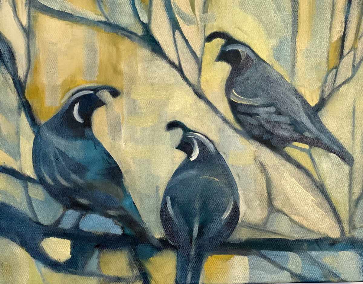 Quail chorus, Image 3.