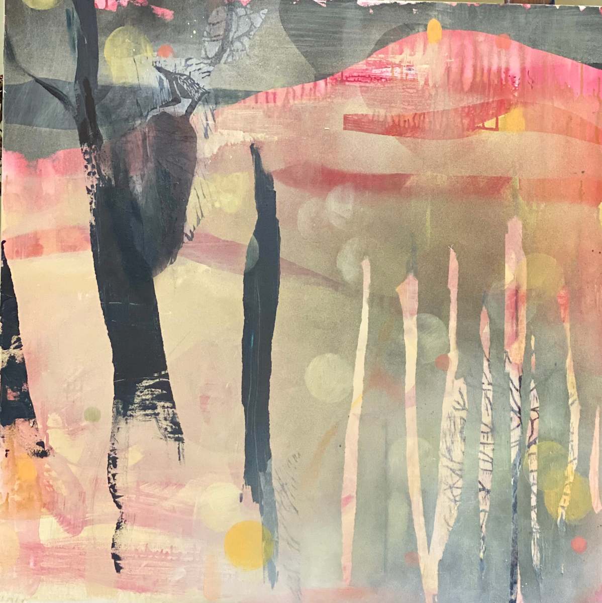 Forest Rhythms Daybreak 