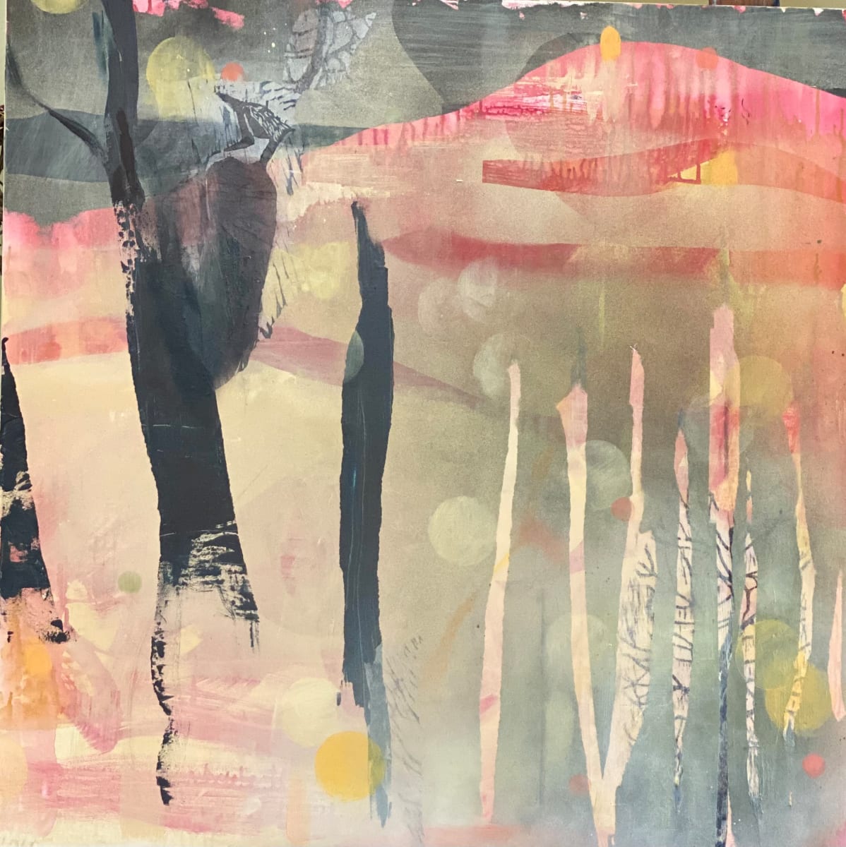 Forest Rhythms Daybreak, Image 1.