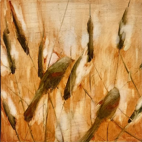 Redwings and Cattails, Image 1.