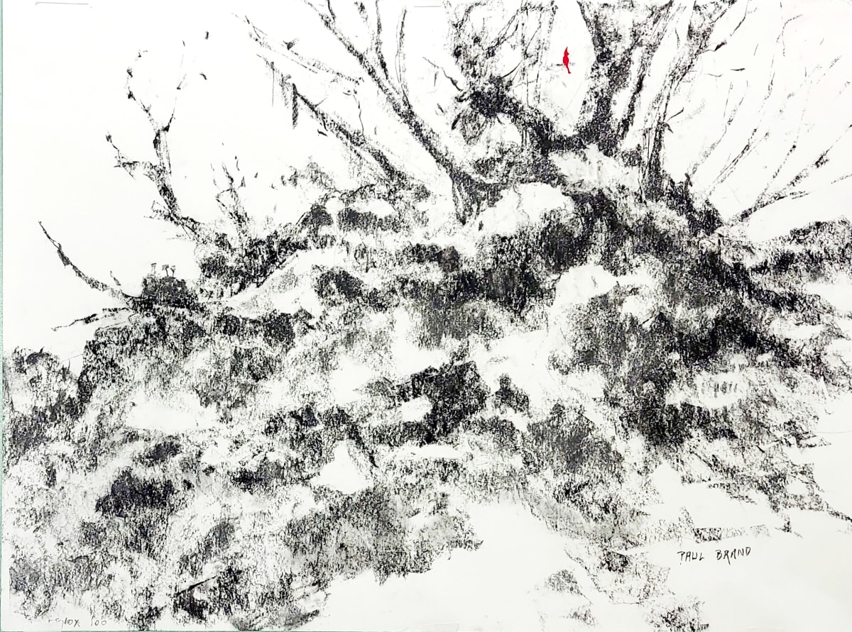 A Rocky Knoll by Paul Brand, Image 2.