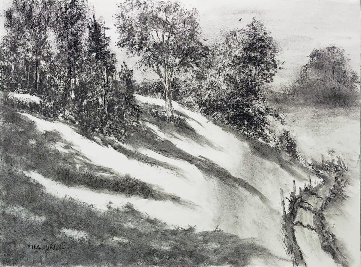 Afternoon at Swan Creek by Paul Brand, Image 2.
