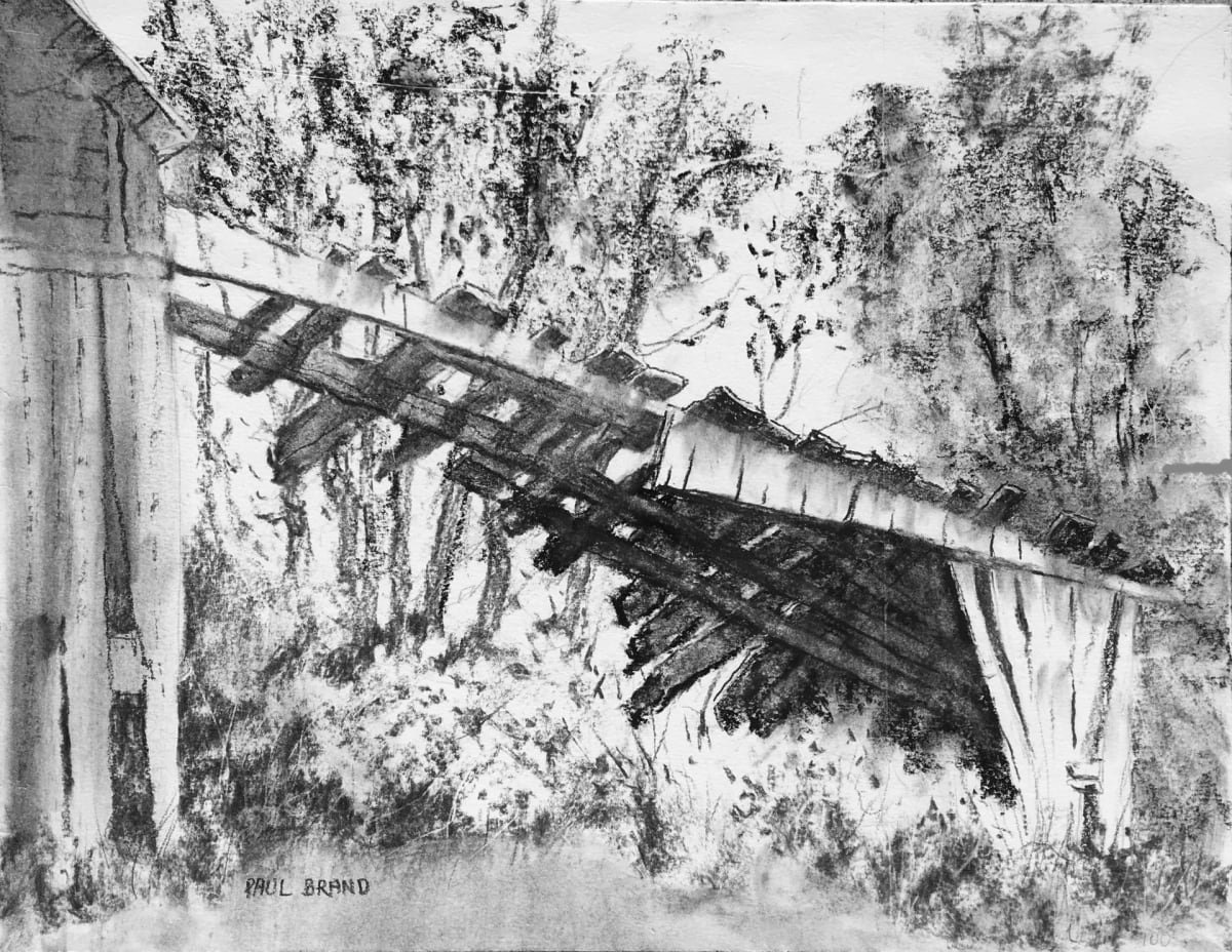 Almost Gone by Paul Brand, Image 1.