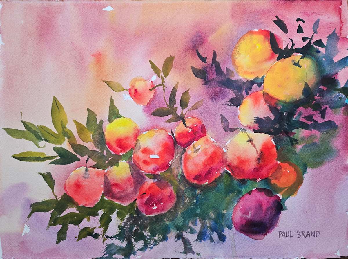 Apples in the Sun by Paul Brand, Image 1.