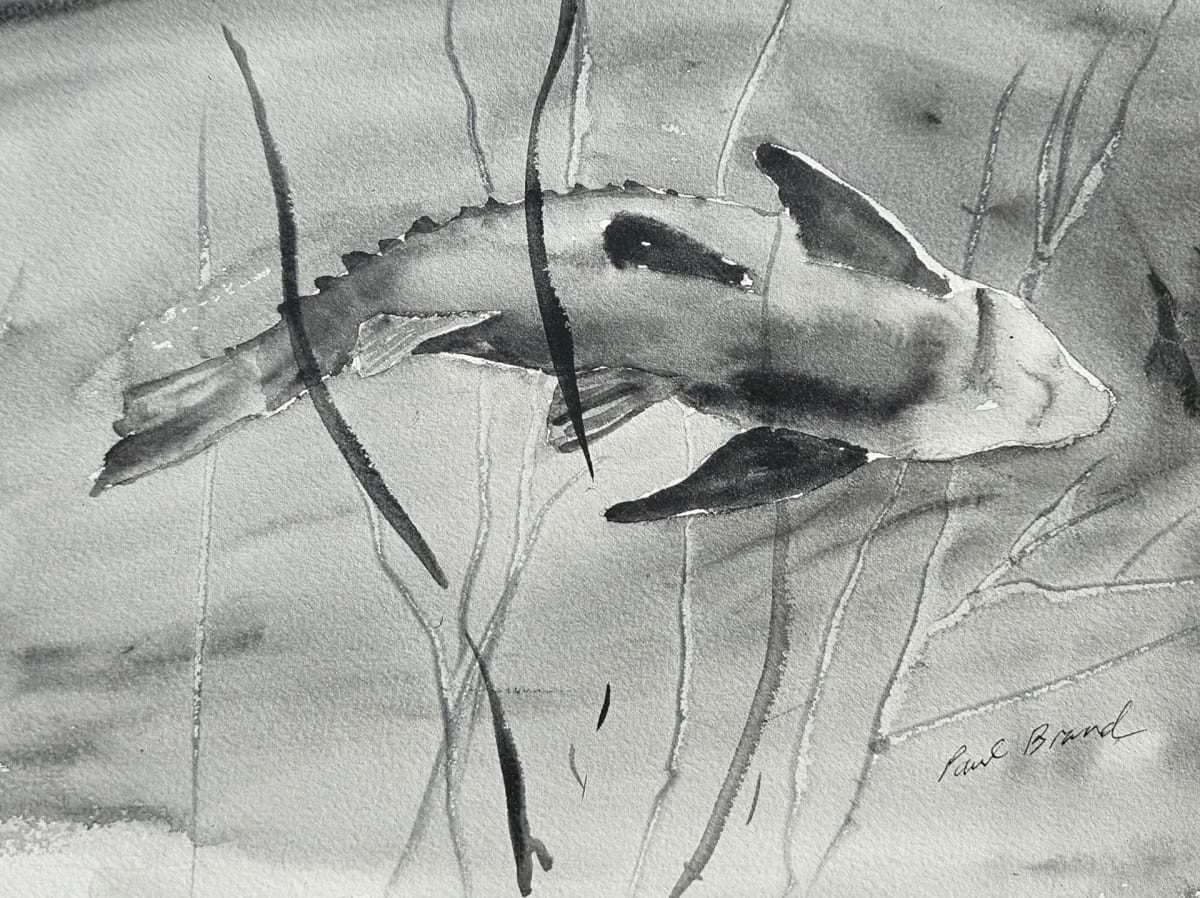 At the Aquarium by Paul Brand, Image 1.