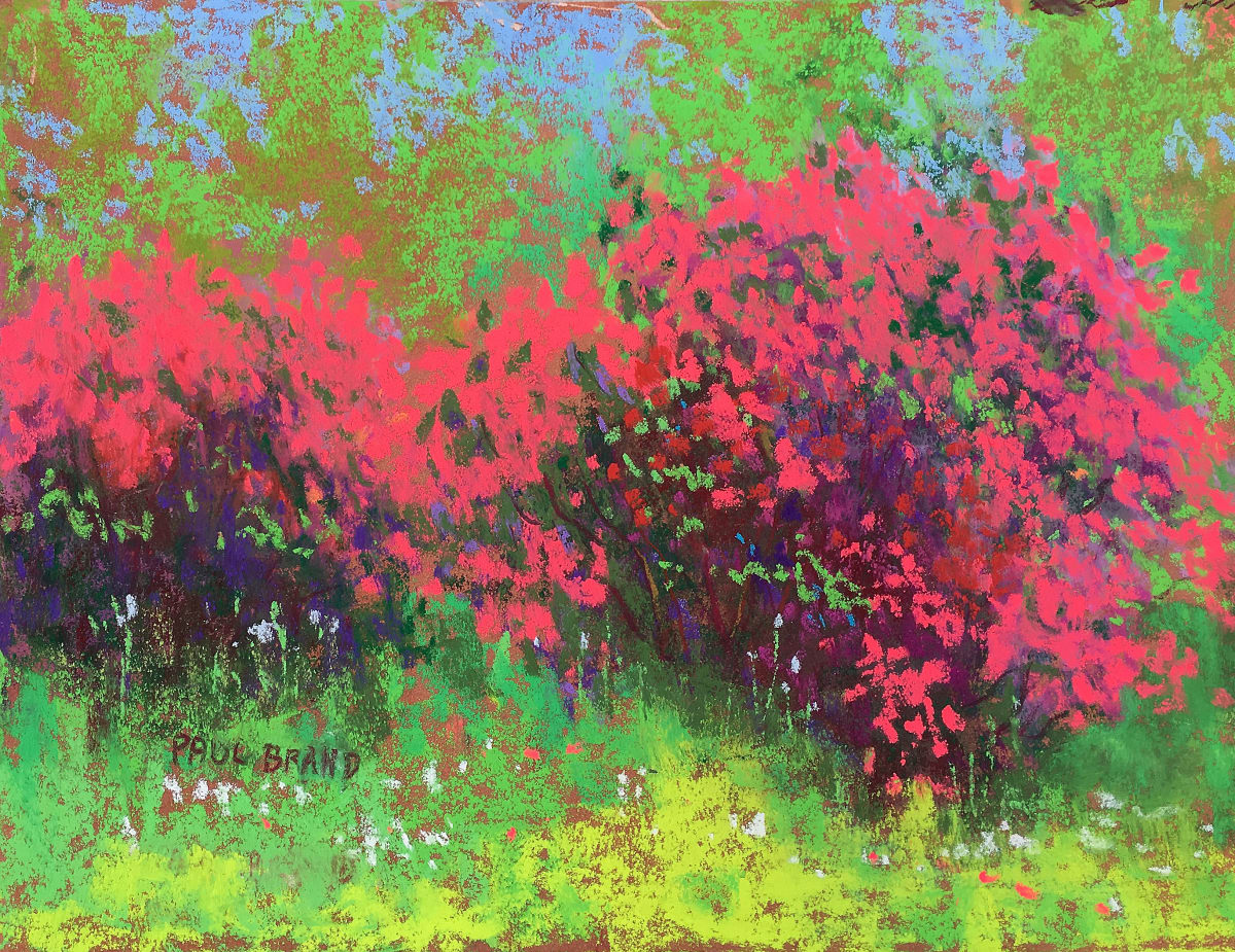 Azaleas at the Botanical Garden by Paul Brand, Image 1.