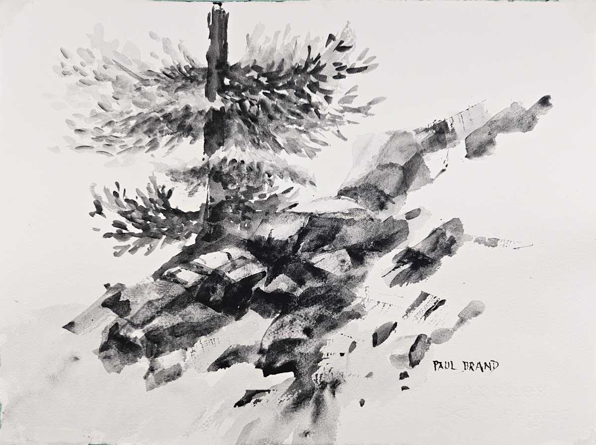 Boulder Canyon 2 by Paul Brand, Image 1.