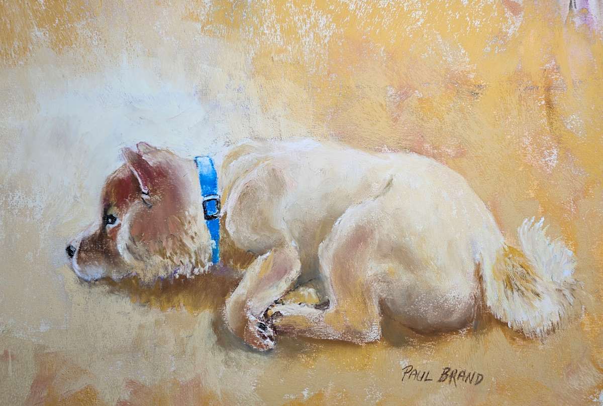 Chowder Day Dreaming by Paul Brand 