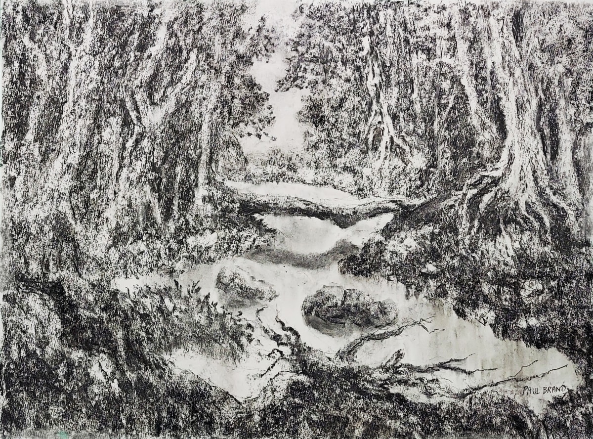 Deep in the Great Smokey Mountains by Paul Brand, Image 2.