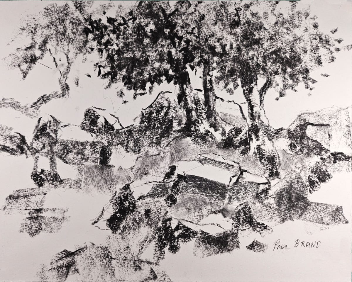 Hillside Scene, Boulder Canyon by Paul Brand, Image 1.