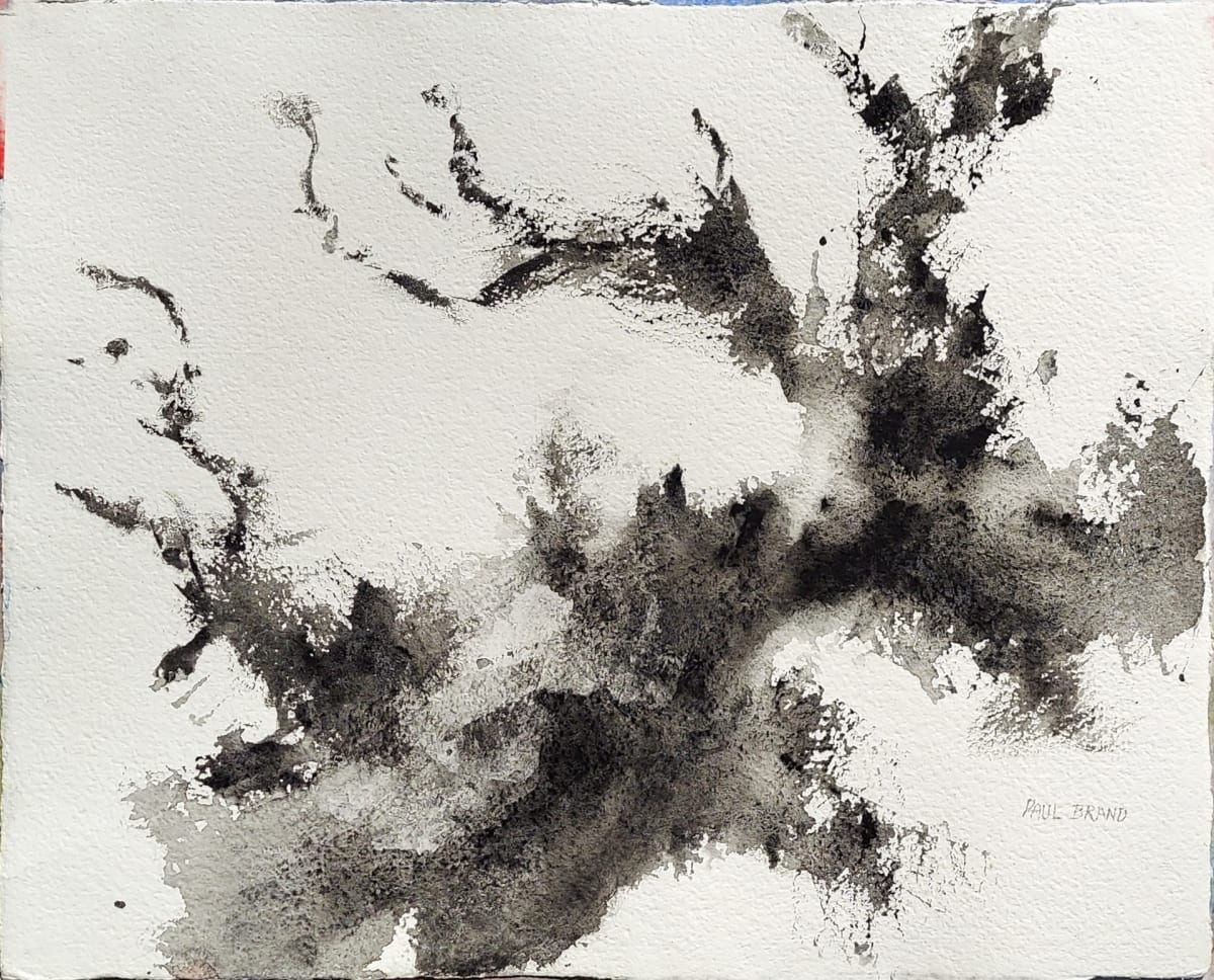 Ivory Black Series 1 by Paul Brand, Image 1.