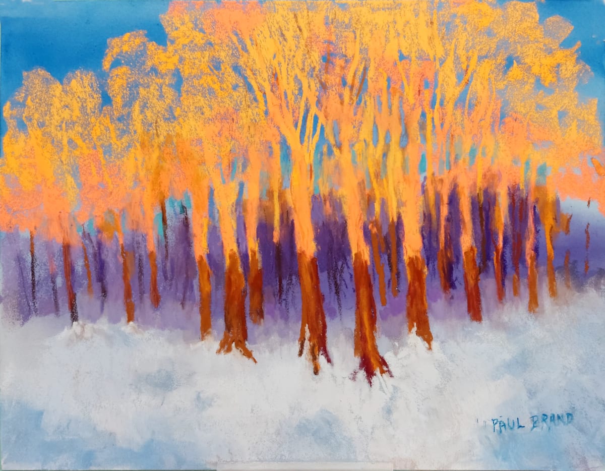 Late Winter Sun by Paul Brand, Image 1.