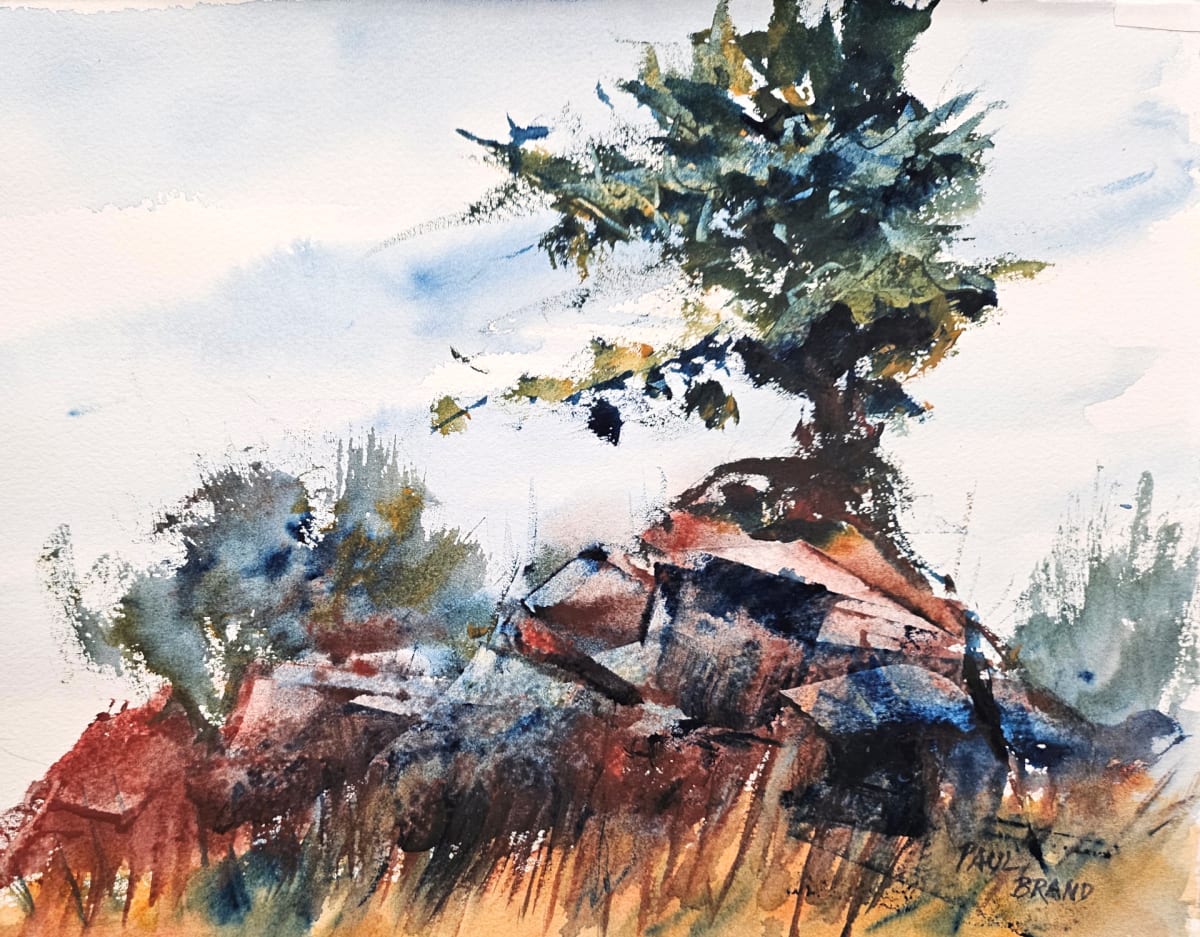 Lone Pine and Rocks by Paul Brand, Image 1.