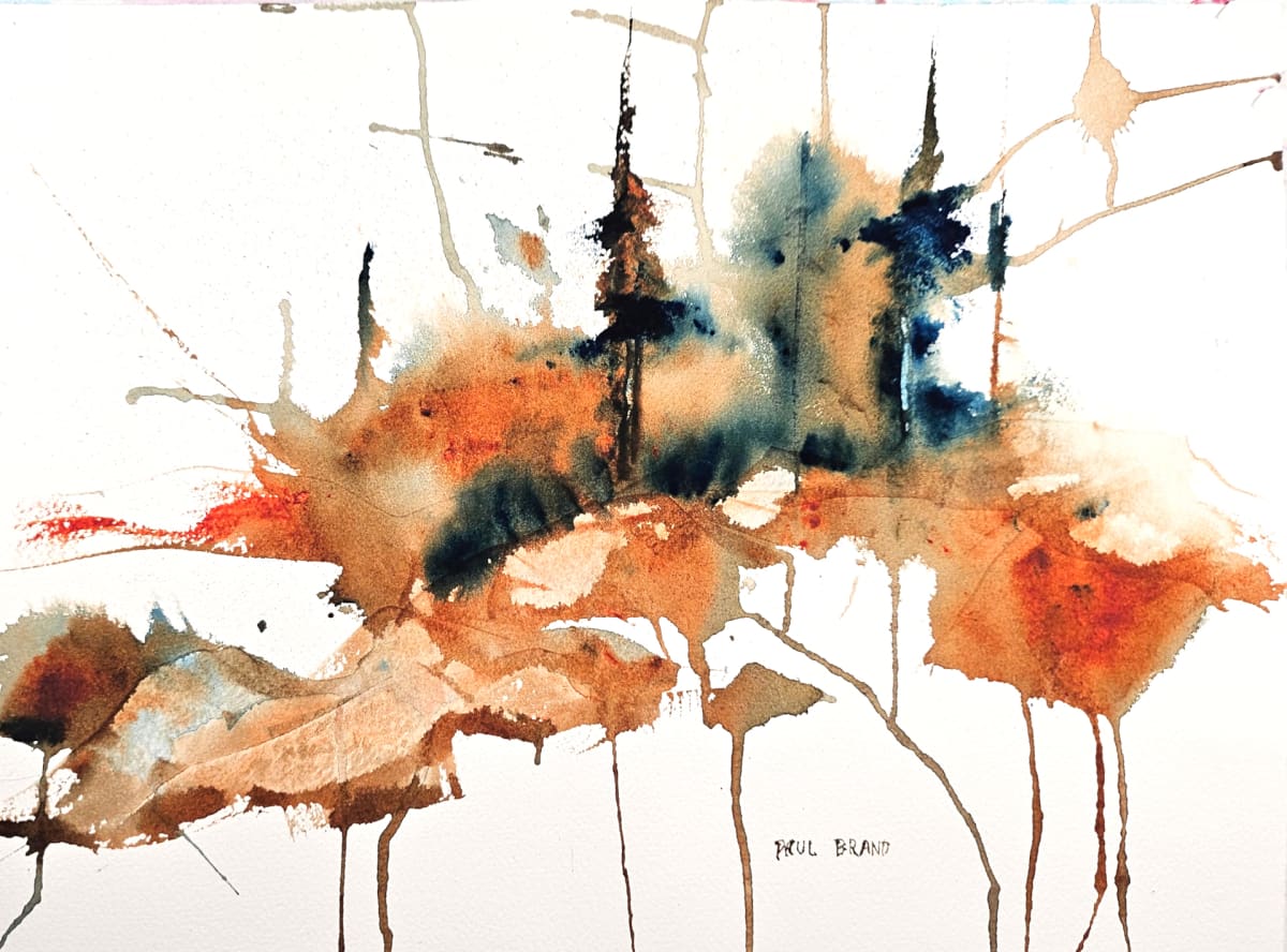 Maine Vision by Paul Brand, Image 2.