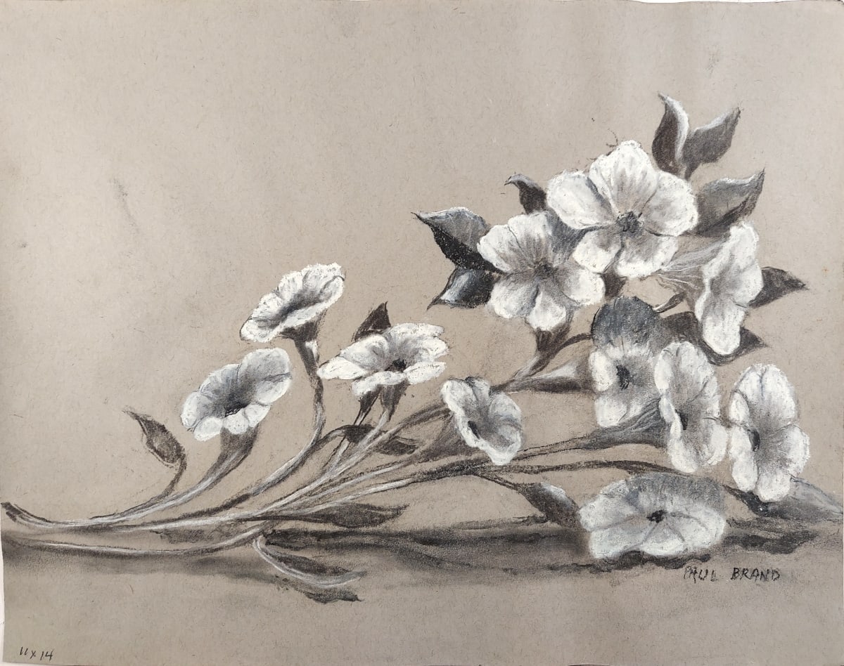 Petunias by Paul Brand, Image 1.
