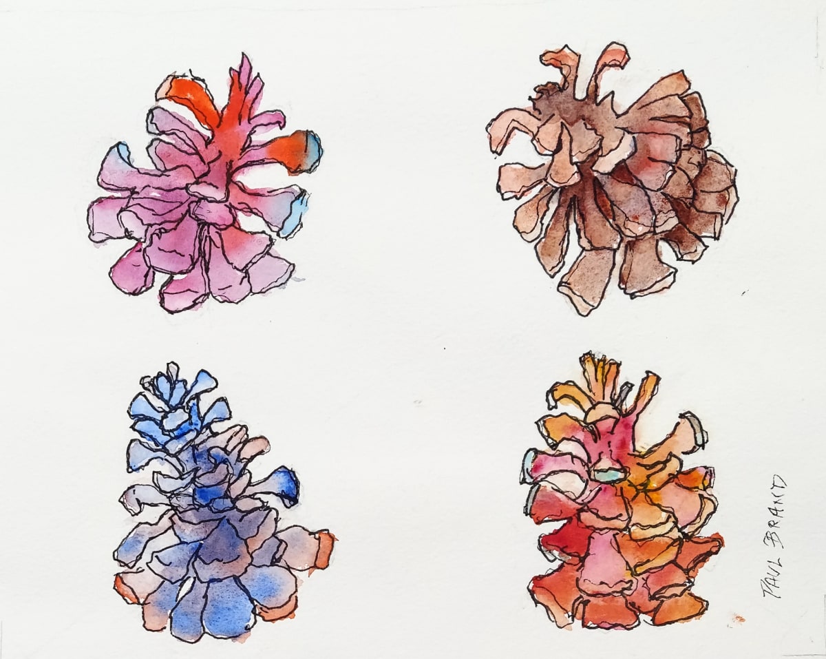 Pine Cones from Other Planets by Paul Brand, Image 1.