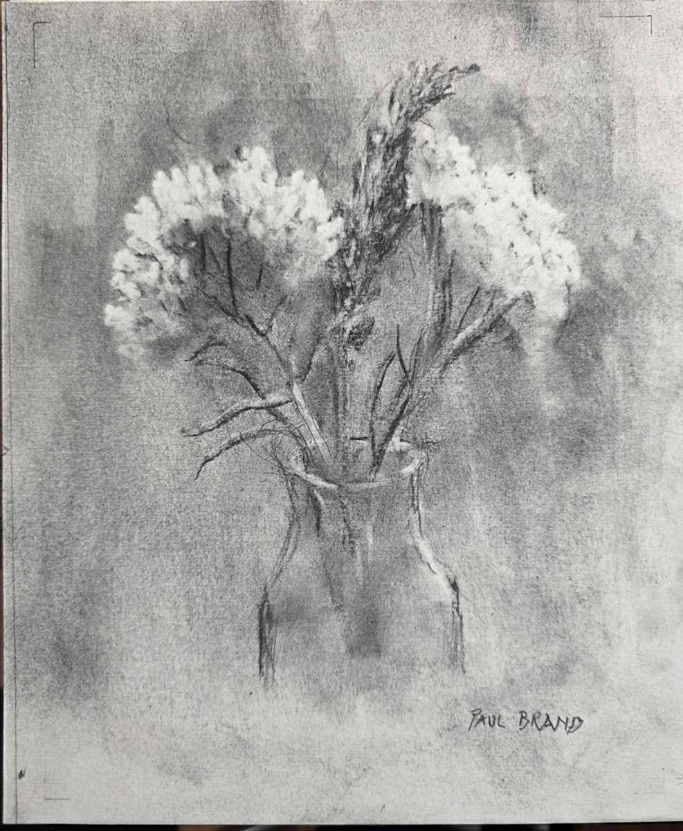 Queen Anne's Lace by Paul Brand, Image 1.