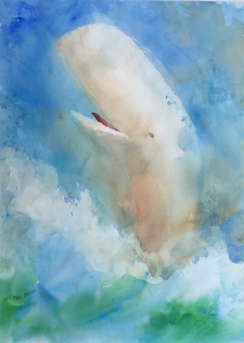 Save the Whales by Paul Brand, Image 1.