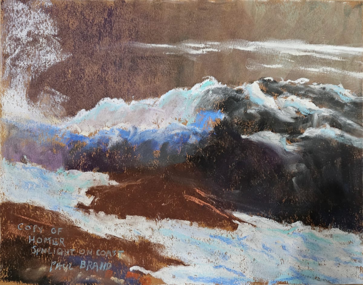 Sunlight on the Coast by Paul Brand, Image 1.