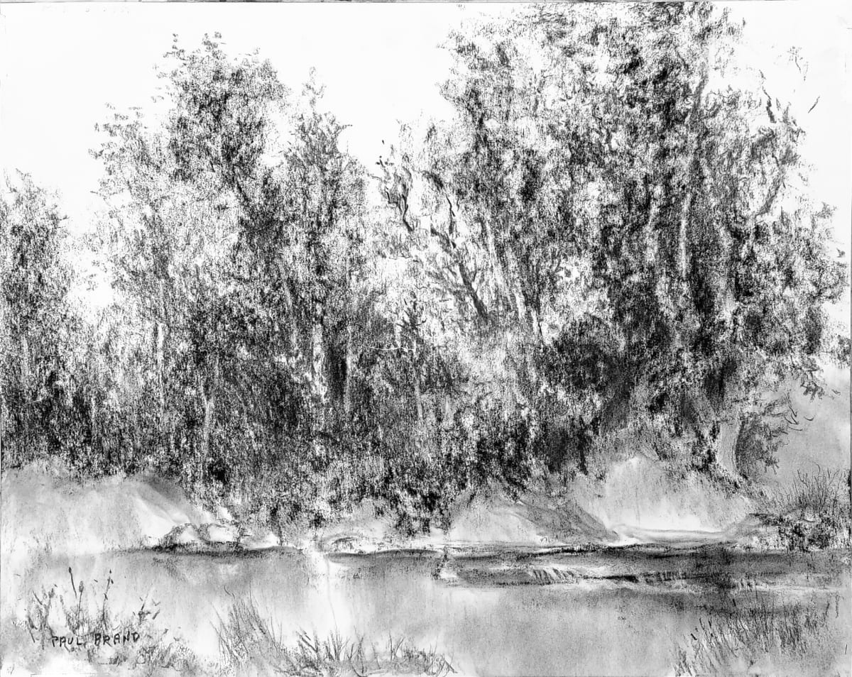 The Maumee at Weirs Rapids, Image 2.