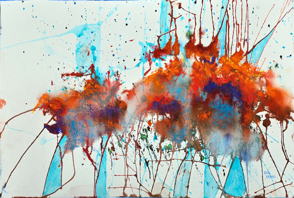 The Sargasso Sea by Paul Brand, Image 1.