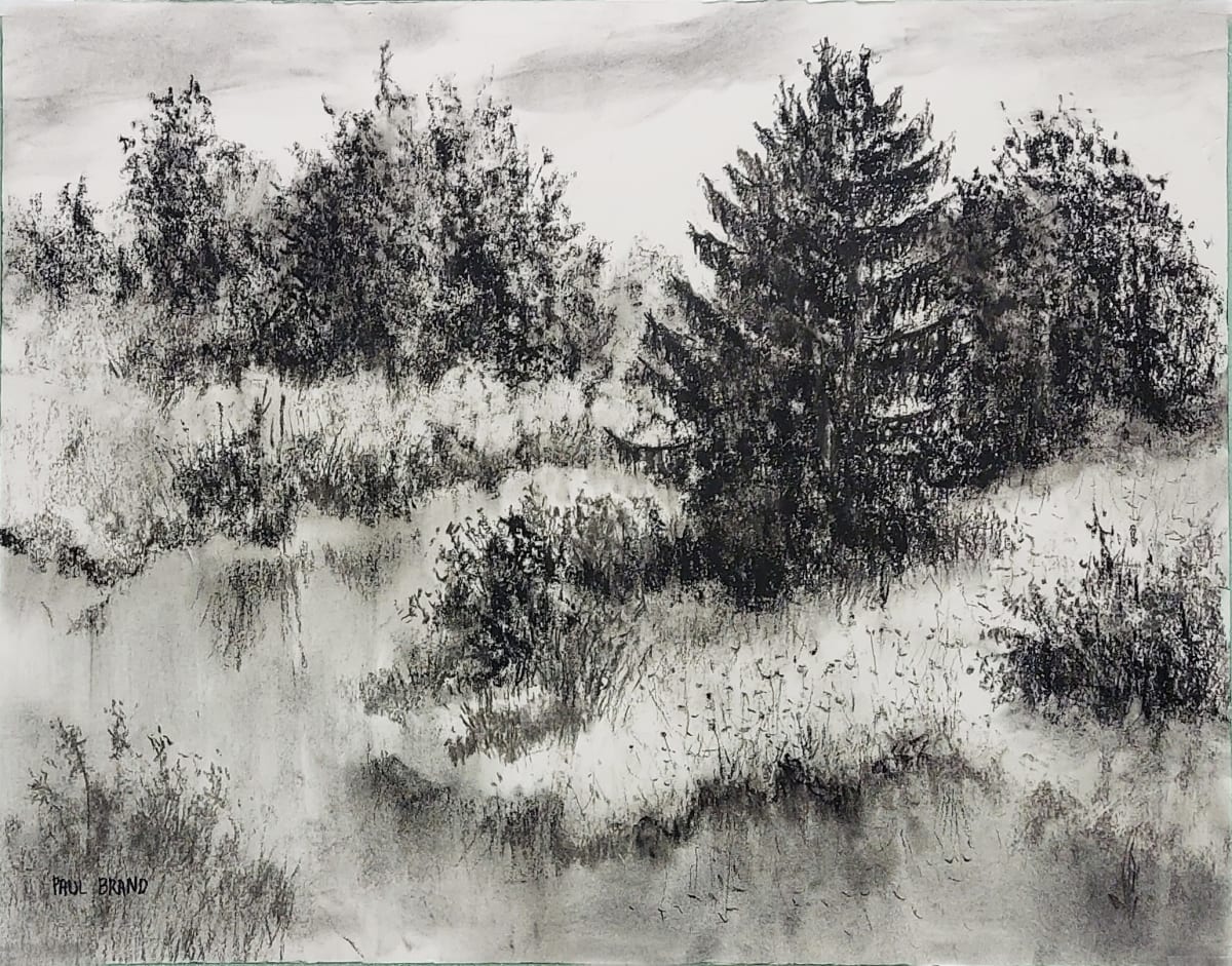 The Stream at the Karousel Horse Farm, Image 2.