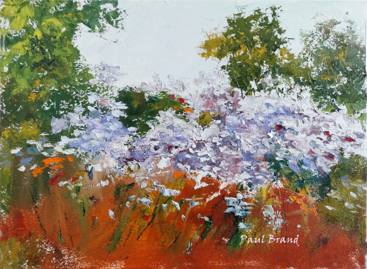 WWW Knight Foundation 1 by Paul Brand, Image 1.