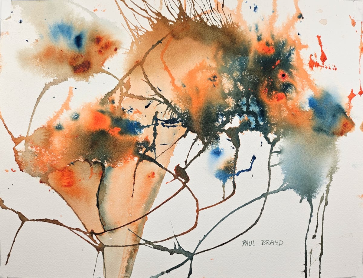 Wild Ride by Paul Brand, Image 1.