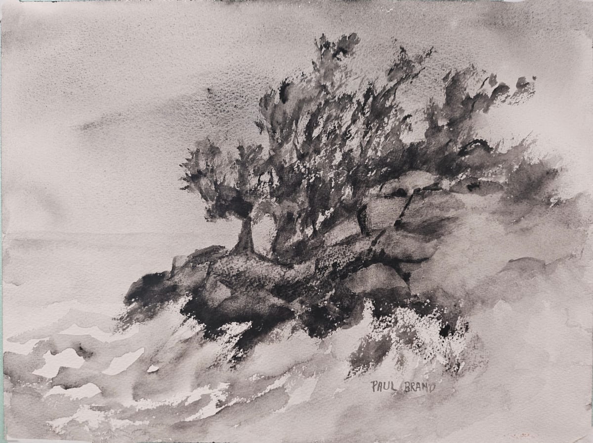 Windswept Shore by Paul Brand, Image 1.