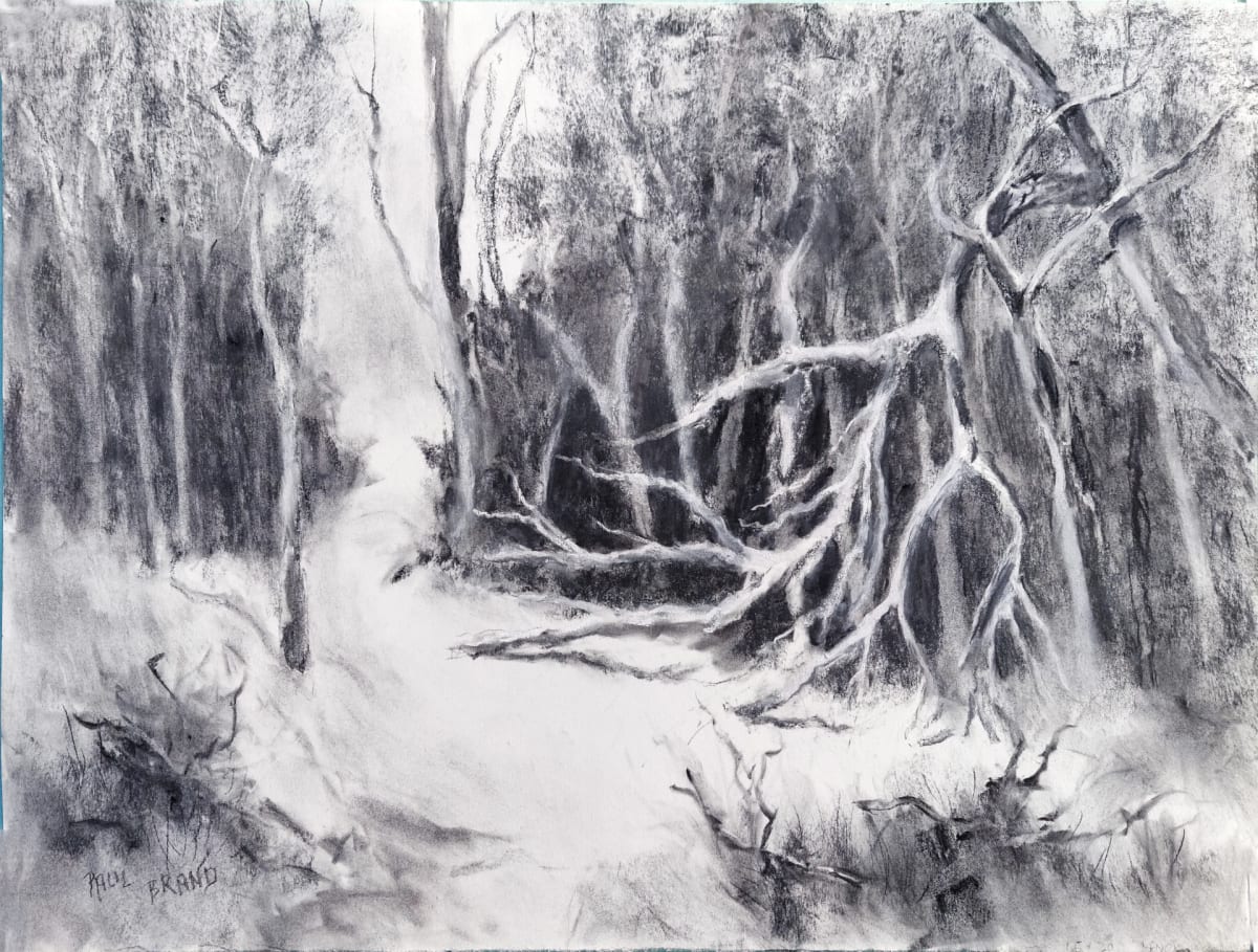 Winter Damage by Paul Brand, Image 1.