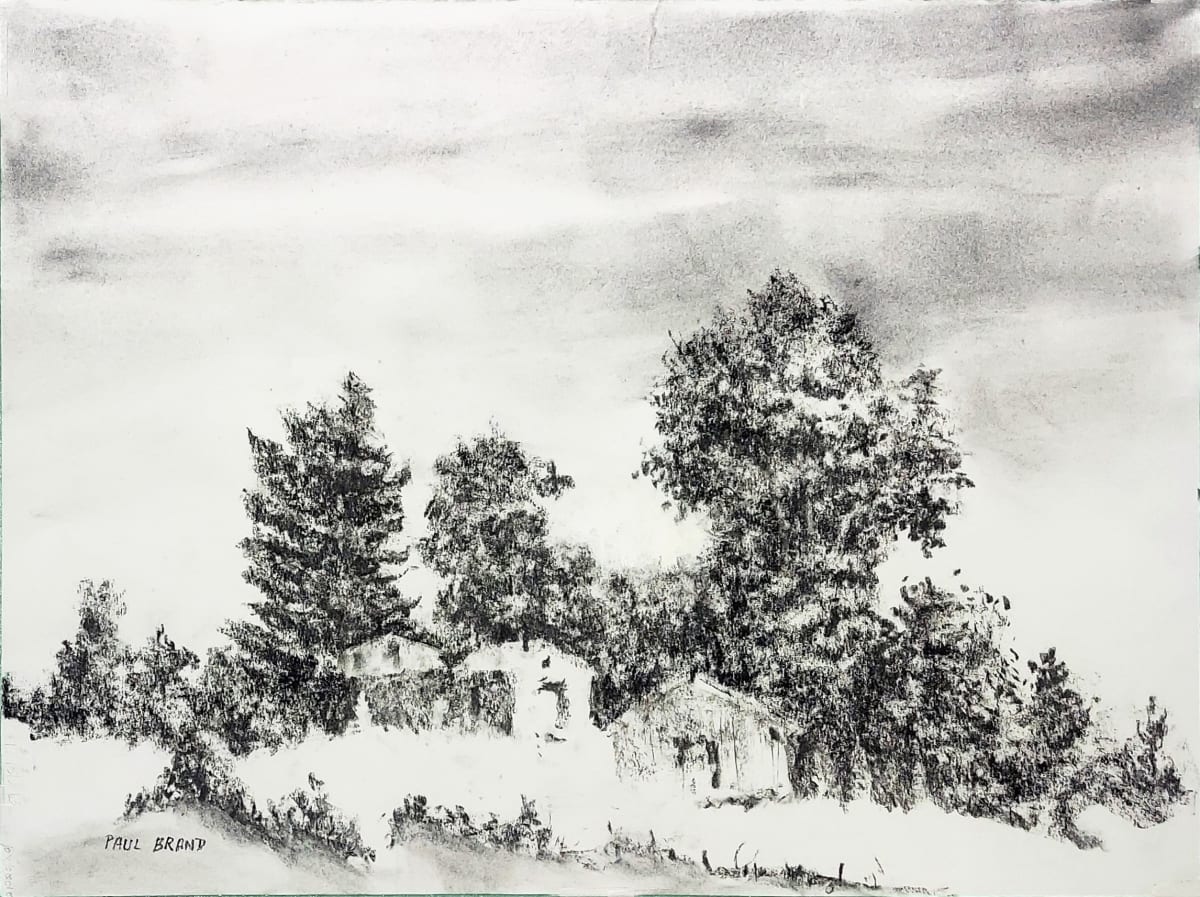 Wood County, January 30 by Paul Brand, Image 2.