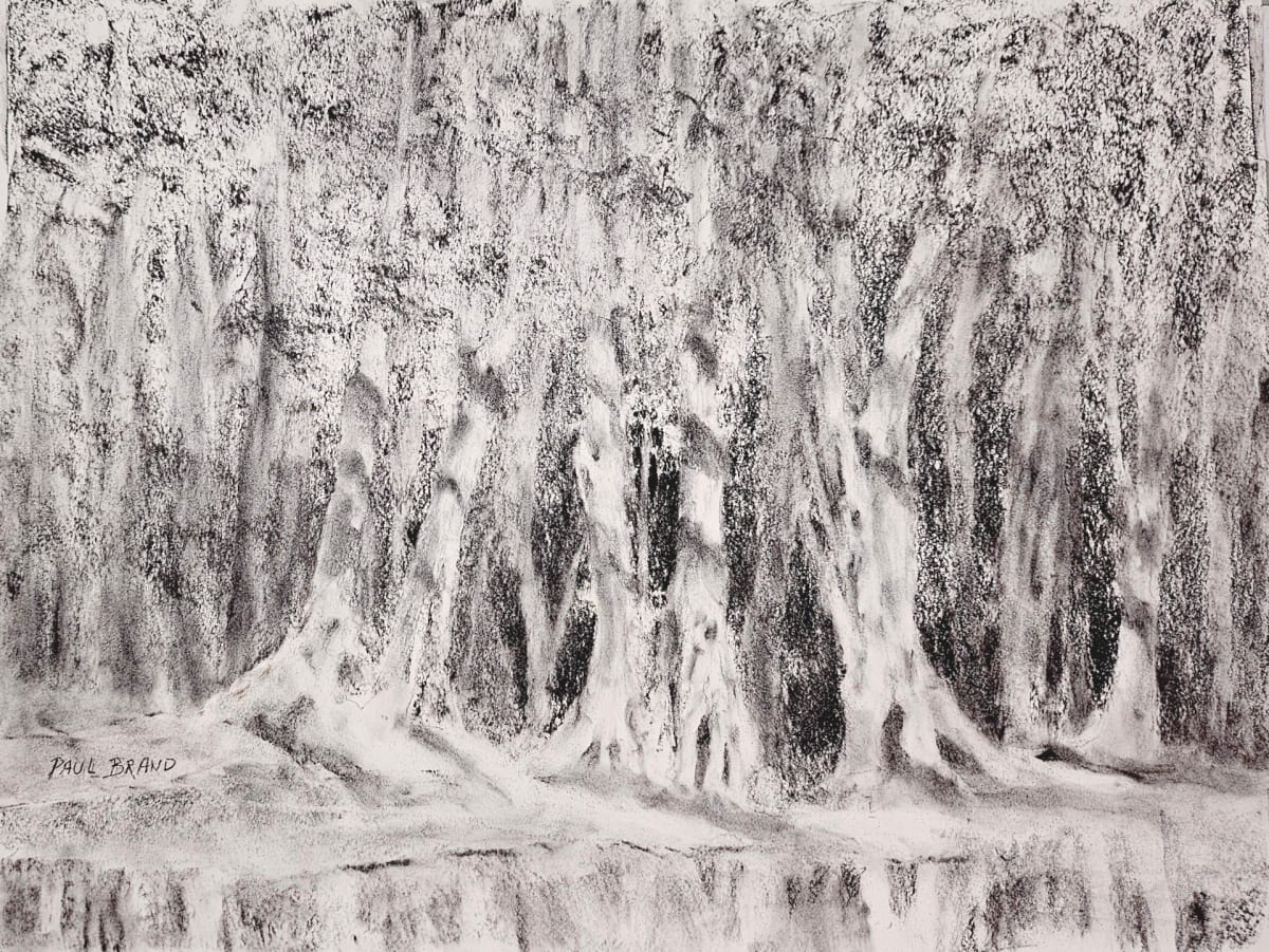 Woods at Swan Creek by Paul Brand, Image 1.